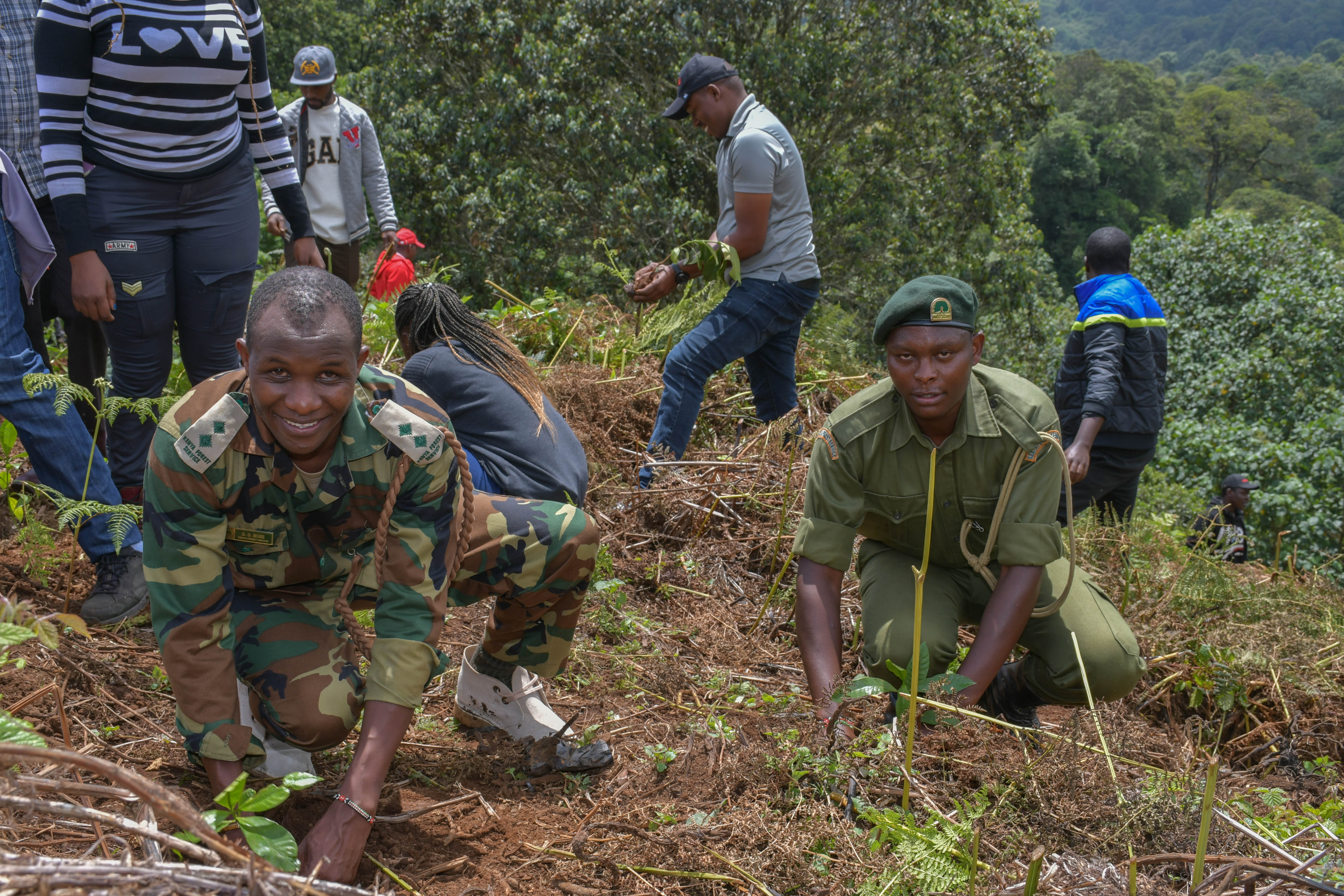 Tree Planting Activity
